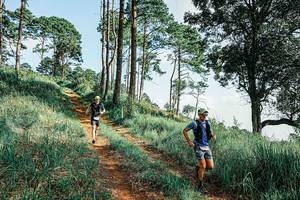 BIB: 
                            <button type="button" onclick="openModal(25676291)" class="btn btn-primary btn-sm float-right btn-popup" data-toggle="modal" data-target=".modal-high-quality">
                        <i class="fas fa-shopping-cart"></i> Add to Cart
                    </button>
                                            <button type="button" onclick="isThisMe(25676291, true)" class="btn btn-success btn-sm float-right btn-popup btn-isme hidden" data-toggle="tooltip" data-placement="bottom" title="นี่คือรูปของคุณใช่ไหม คลิกที่นี่เพื่อเอาเข้าอัลบั้ม">
                        <i class="fas fa-plus"></i> Add to album
                    </button>
                    <button type="button" onclick="isThisMe(25676291, false)" class="btn btn-warning btn-sm float-right btn-popup btn-isnotme hidden">
                        <i class="fas fa-ban"></i> Remove from album
                    </button>